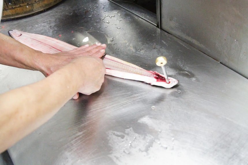 Craftsman filleting unagi by hand