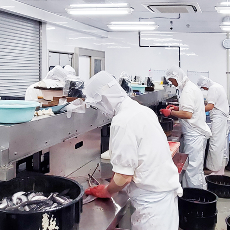 Hand filleting